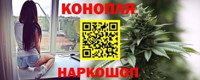 сатива Обнинск